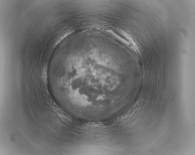 X0000115550386200911201805