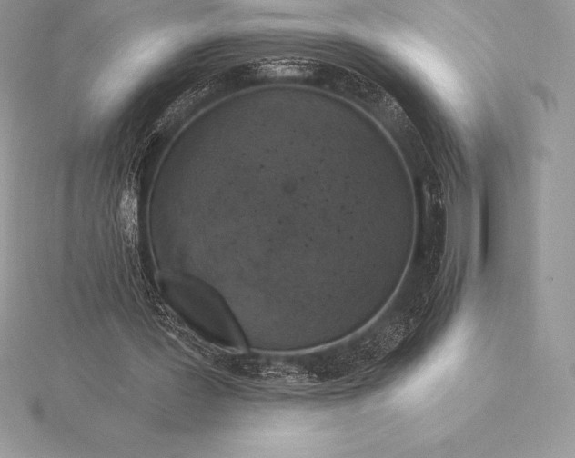 X0000115550387200911201805