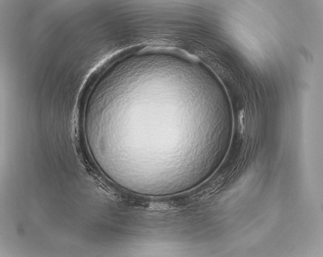 X0000115550388200911201805