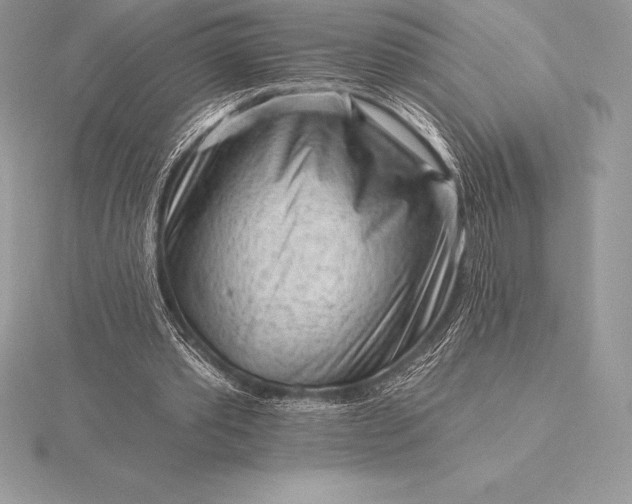 X0000115550389200911201805