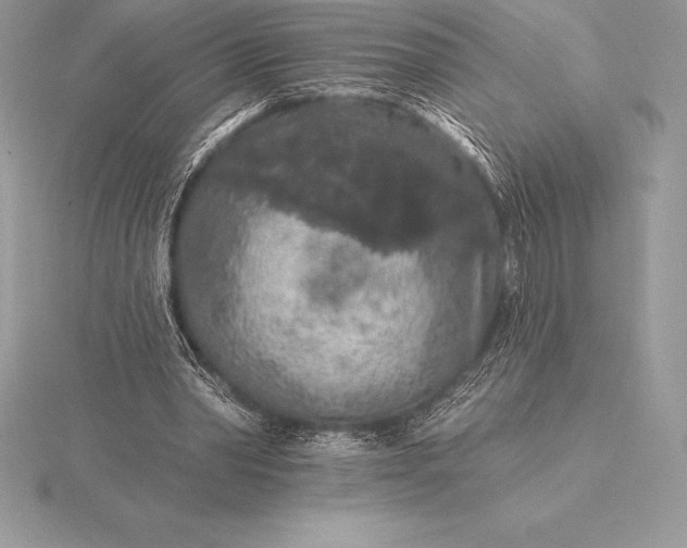 X0000115550390200911201805