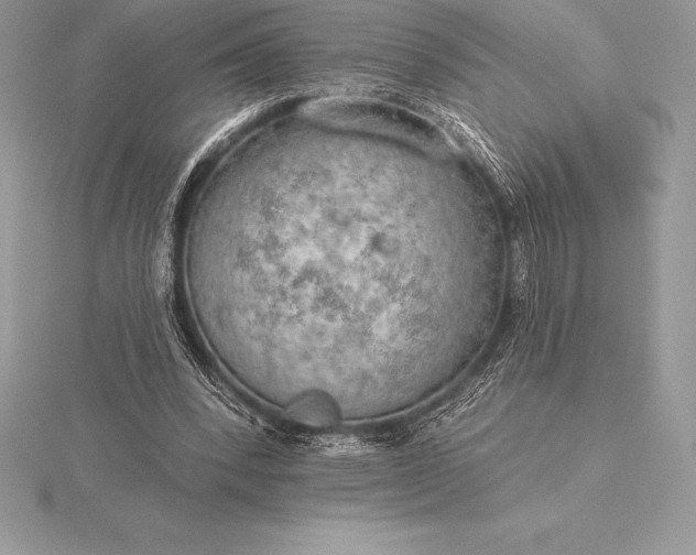 X0000115550392200911201805