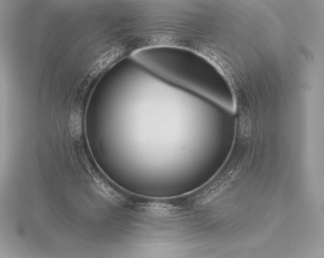 X0000115550393200911201805