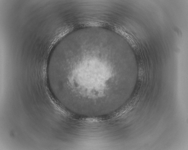 X0000115550394200911201805