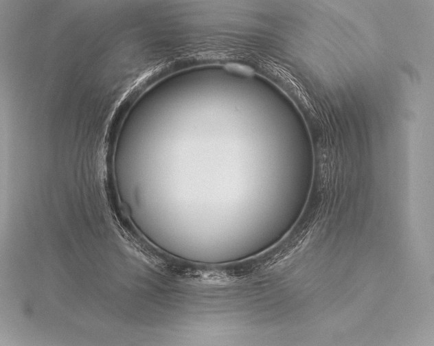 X0000115550395200911201805