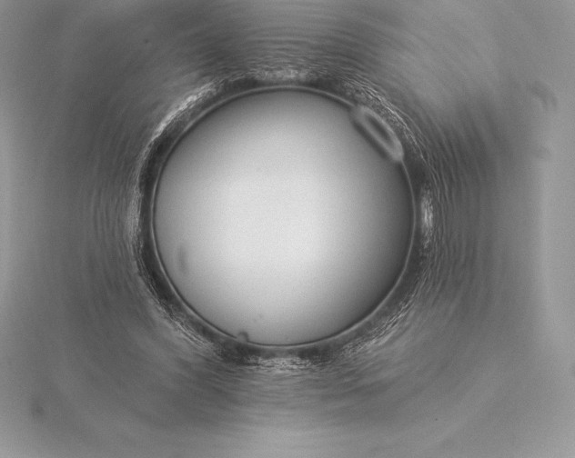 X0000115550396200911201805