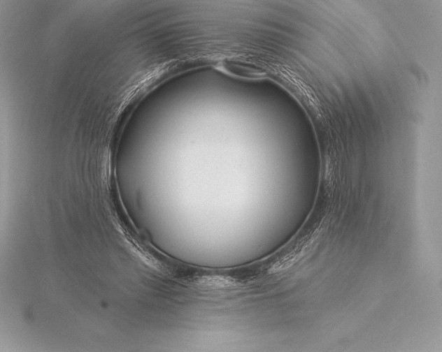 X0000115550397200911201805