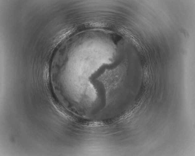 X0000115550398200911201805