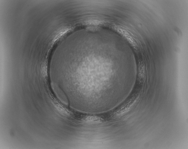 X0000115550399200911201805