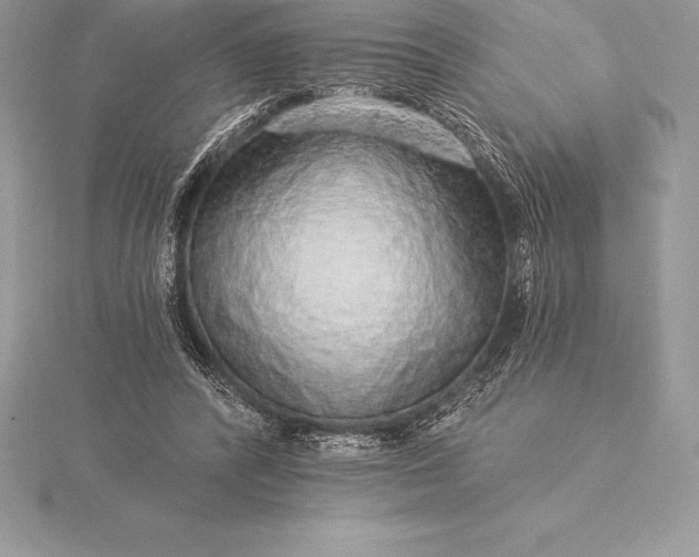 X0000115550400200911201805