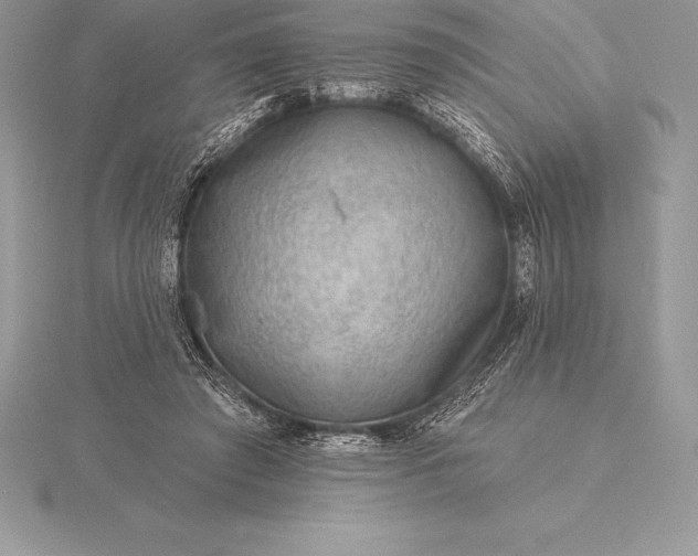 X0000115550401200911201805