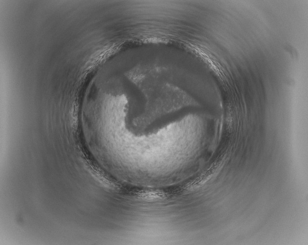 X0000115550402200911201805