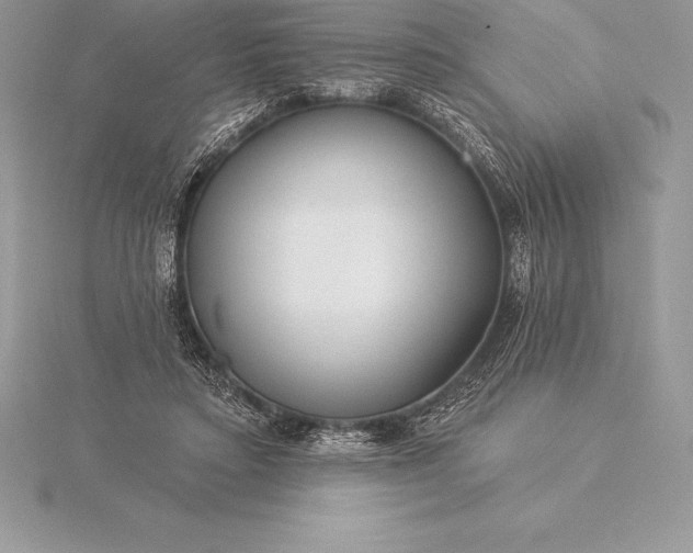 X0000115550403200911201805