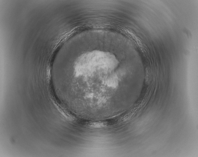 X0000115550405200911201805