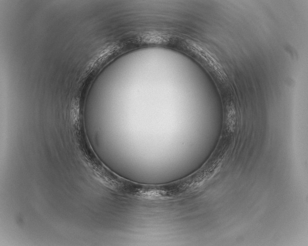 X0000115550407200911201805