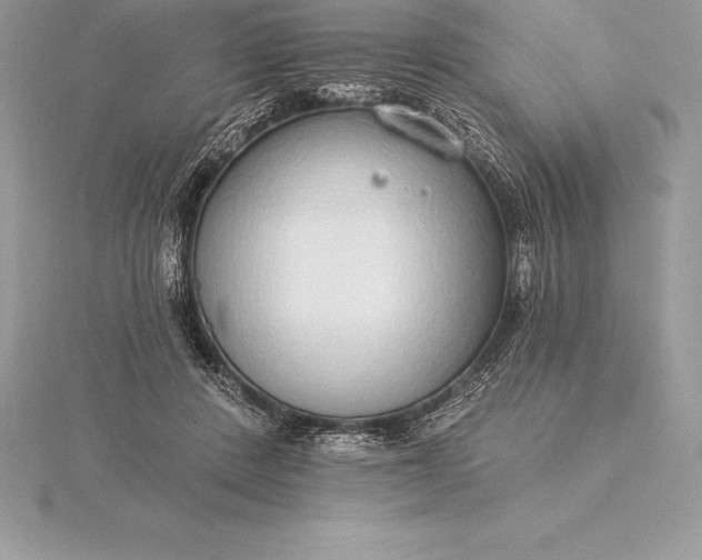 X0000115550408200911201805