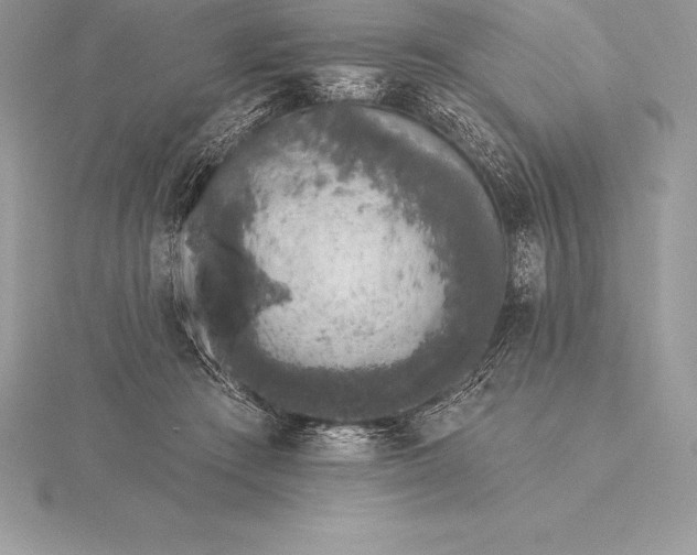 X0000115550409200911201805