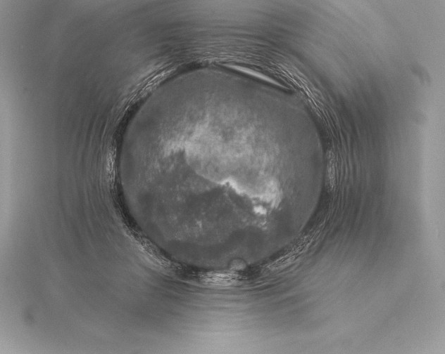 X0000115550410200911201805