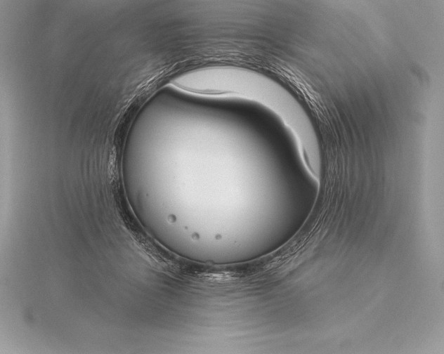 X0000115550411200911201805