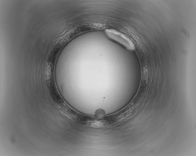 X0000115550412200911201805