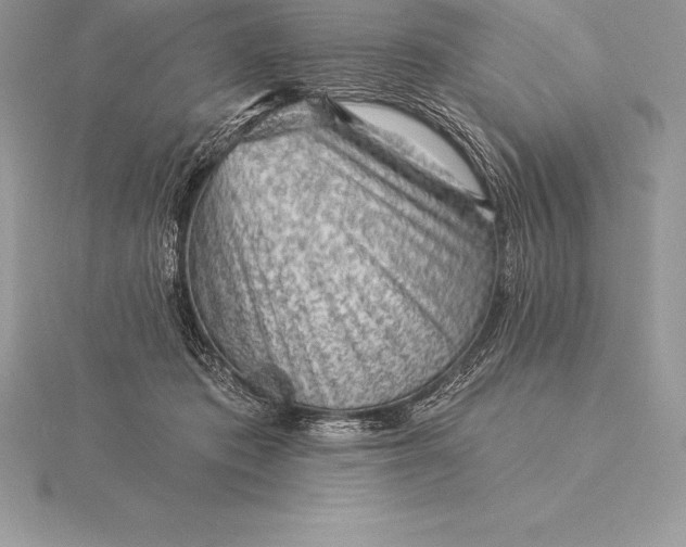 X0000115550413200911201805