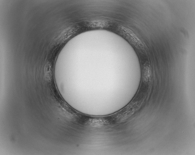 X0000115550414200911201805