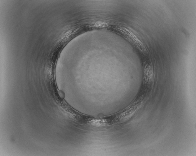 X0000115550415200911201805