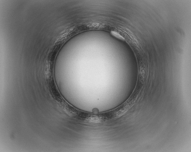 X0000115550416200911201805