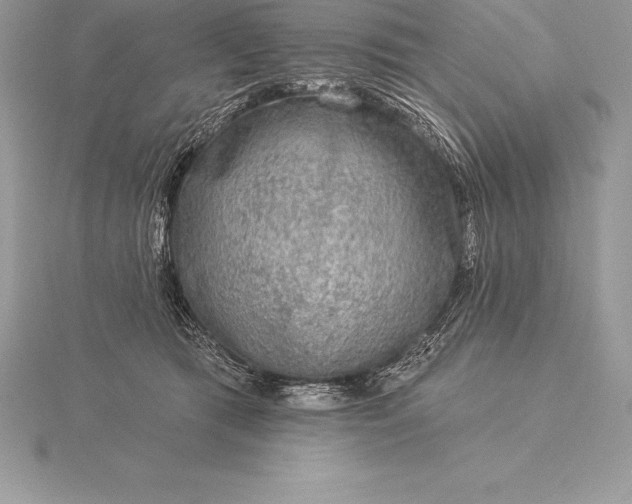 X0000115550417200911201805