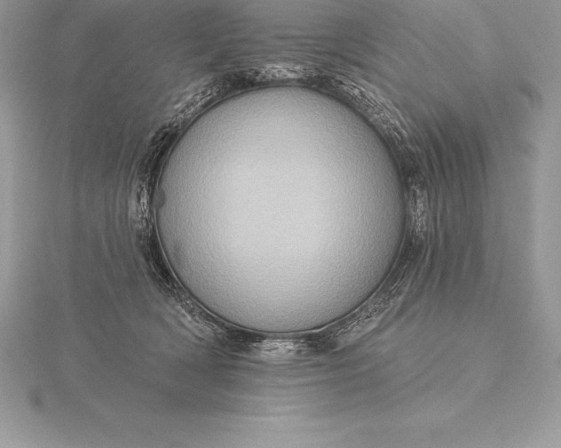 X0000115550418200911201805