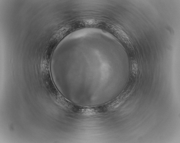 X0000115550419200911201805