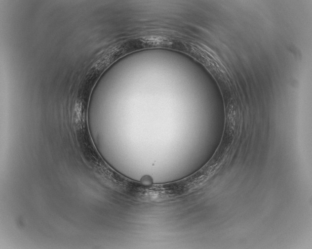 X0000115550420200911201805