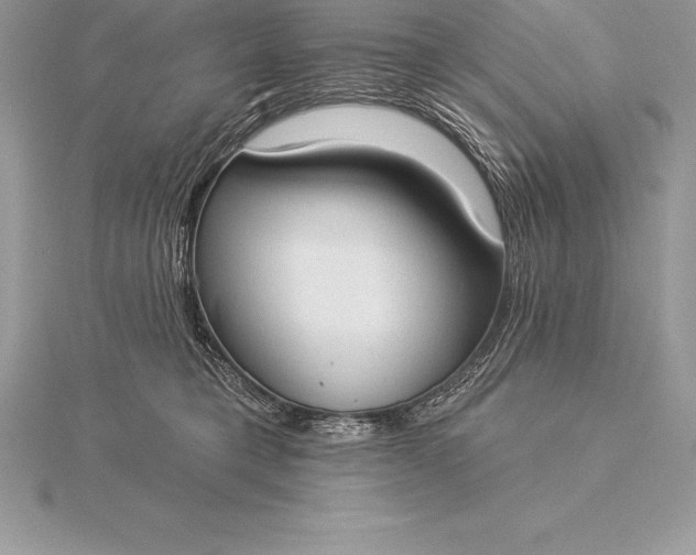 X0000115550421200911201805