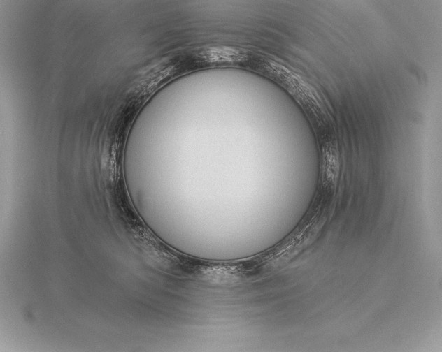 X0000115550422200911201805