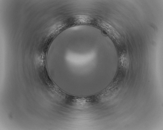 X0000115550423200911201805