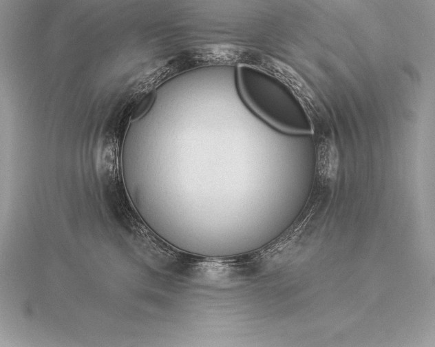 X0000115550425200911201805