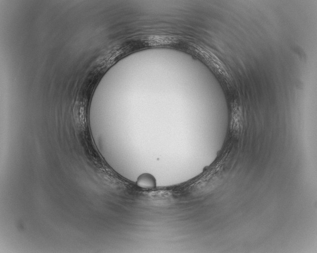 X0000115550426200911201805