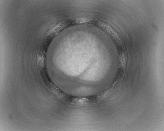 X0000115550427200911201805