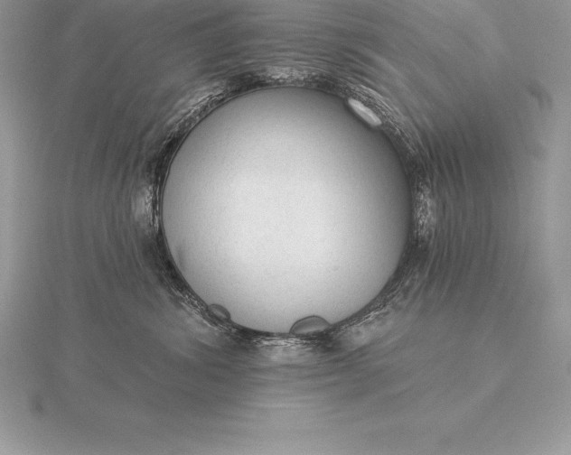 X0000115550428200911201805