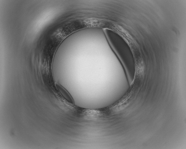 X0000115550429200911201805