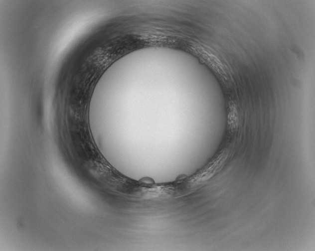 X0000115550430200911201805