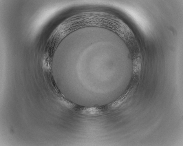 X0000115550431200911201805