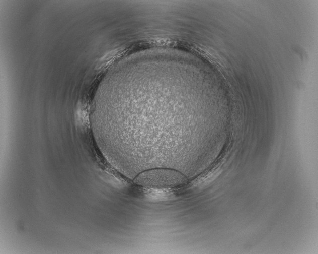 X0000115550432200911201805