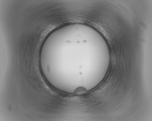 X0000115550433200911201804