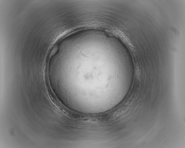 X0000115550434200911201804