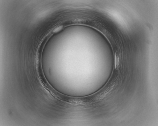 X0000115550435200911201804