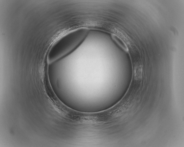 X0000115550436200911201804