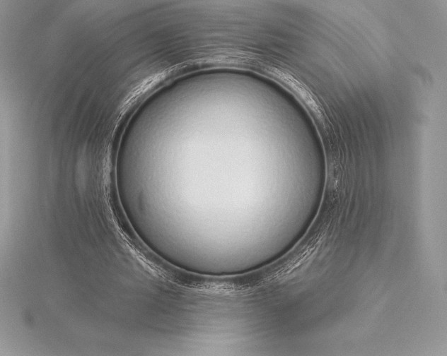 X0000115550437200911201804