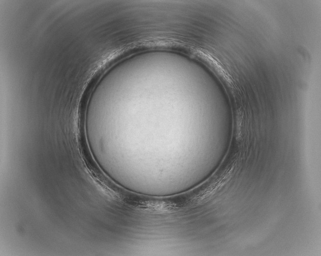 X0000115550439200911201804