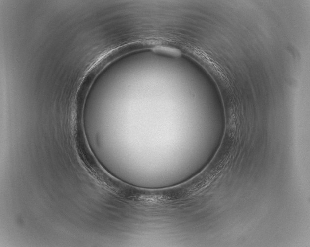 X0000115550440200911201804